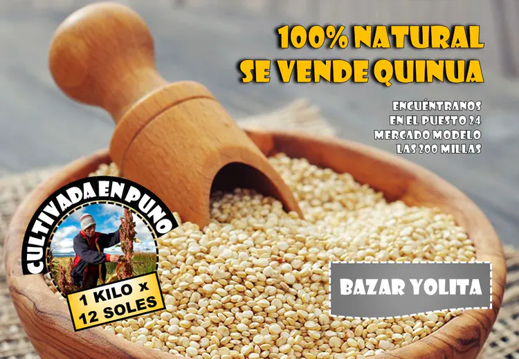 02 QUINUA.jpg